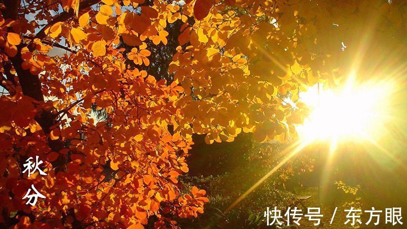 秋分养生：吃好三样，喝好三样，做好三样