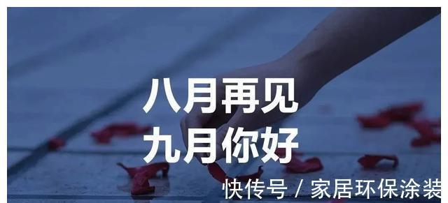 木方|“金九”已现端倪，全国多地建筑木材模板价格上调