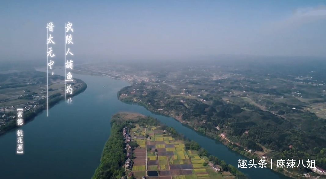 张子枫|三年前戏言成真,看样子“送礼事件”对何炅影响很大