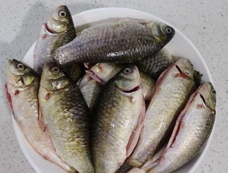 秋后碰到我从不还价的鱼,一买就是5斤,营养极高,煎着吃特香