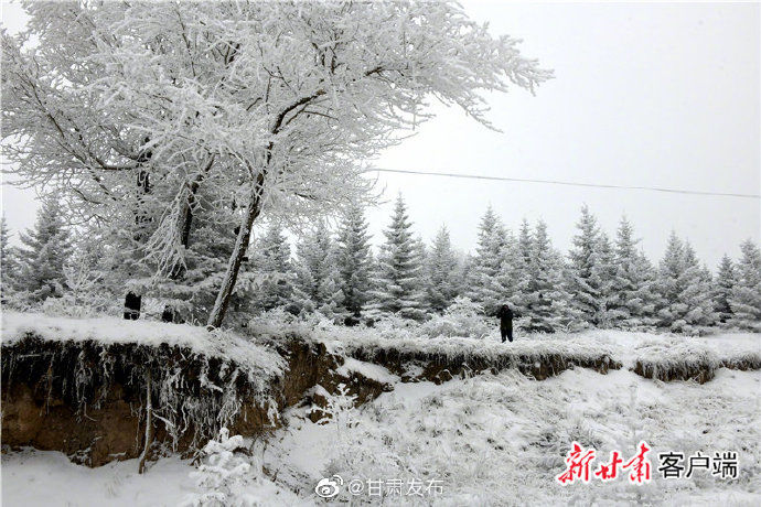 通渭县|雪后的通渭县华家岭美成了童话世界