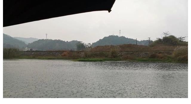 秋季钓鲫鱼的几个要点，光靠饵料没用，得把握天时地利！