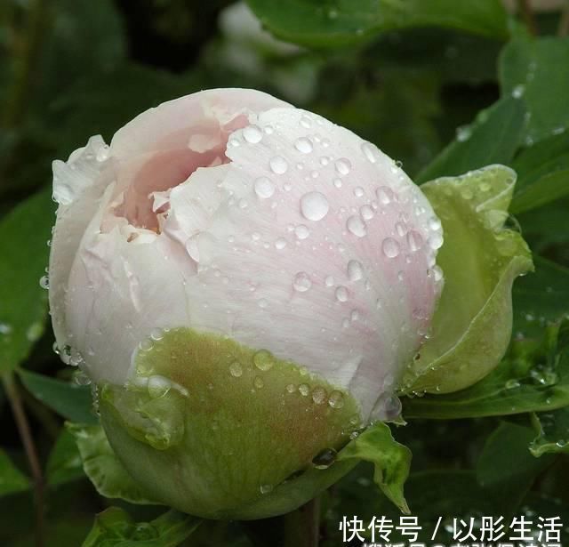 诗意|最有诗意的写雨古诗，苏轼学生只用14字，千百年来打动多少人