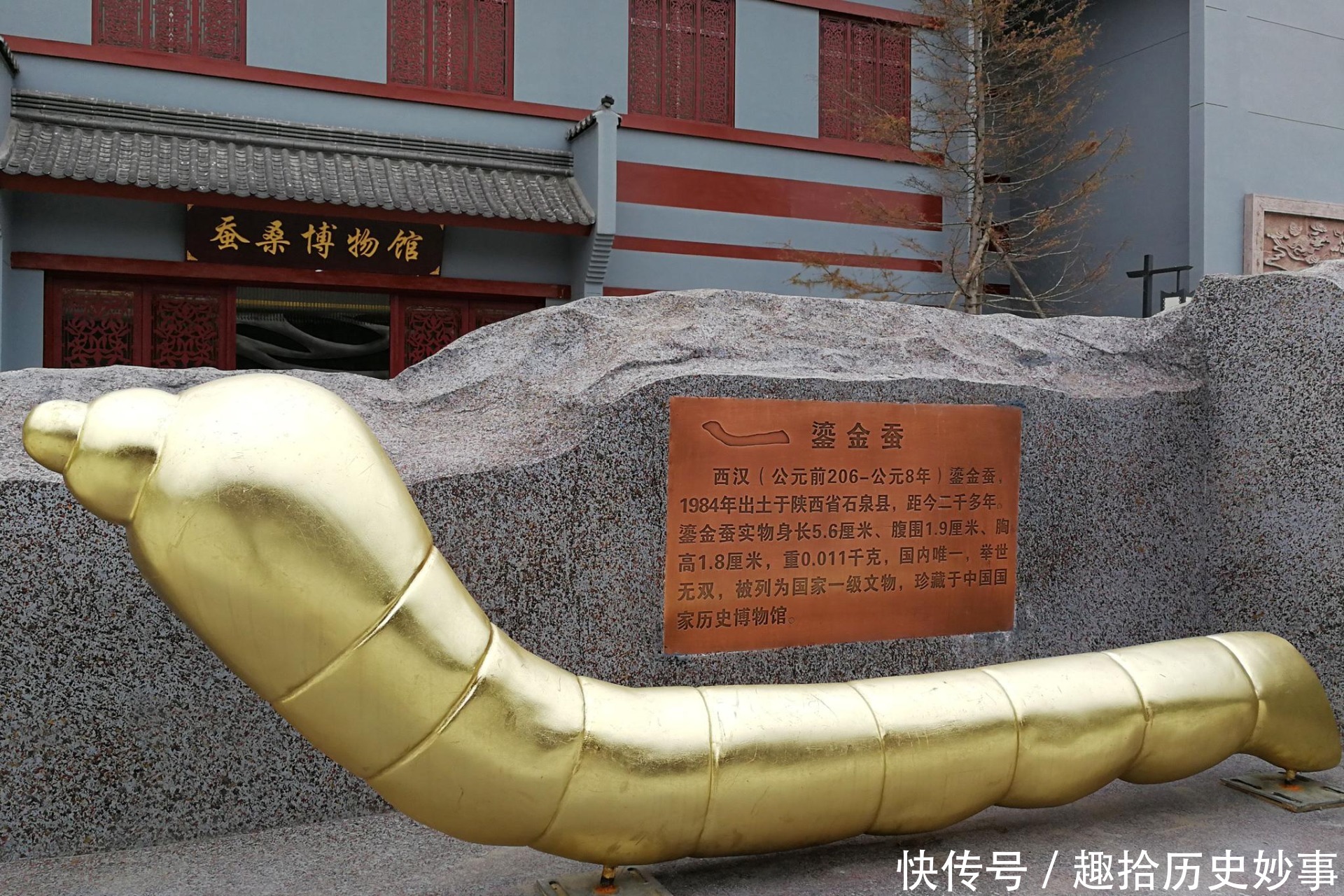 老农淘金意外发掘金蚕国宝,借路费上交博物馆,晚年患癌不要补助