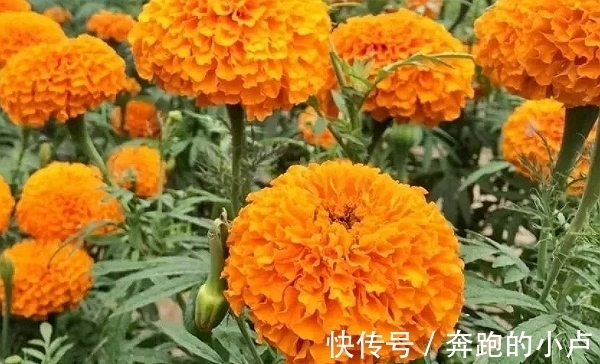 财库|未来15天，桃花袭来，财库丰盈，前途无忧，日子福禄安康