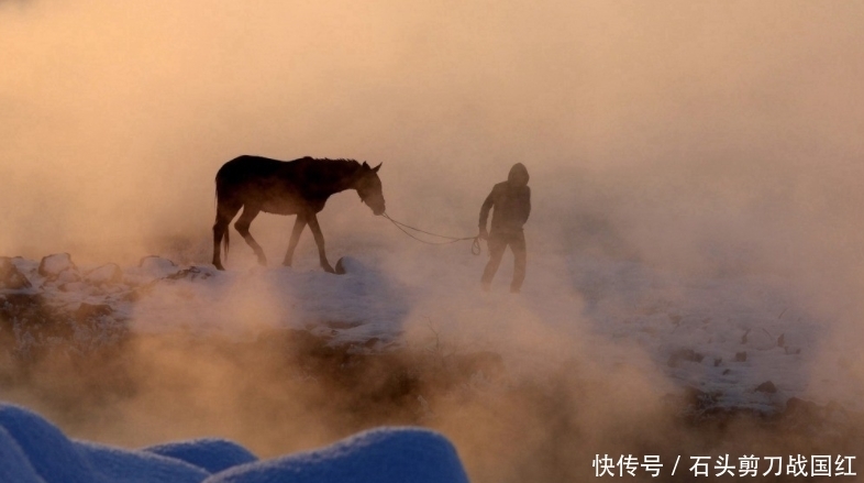 这里的温泉一年四季都可以免费泡，这里住着世界上最享受的牛和马