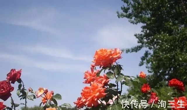 天秤女|2022年变有钱的4个星座女，财源滚滚，成为名副其实的人生赢家