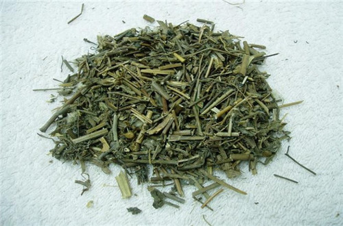 野花野草|农村有种野草,用手掰能出“牛奶”,小孩经常玩,却不知价值很高