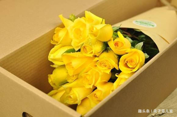 喜欢玫瑰,就养盆“高档玫瑰”金香玉玫瑰,花开金灿灿,格外养眼