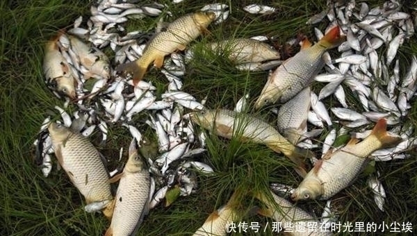 破解|夏季野钓钓点选活水,天气选刮风,破解走漂,双铅钓法绝对必备