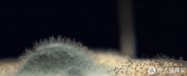 慕斯|厕所里有异味怎么办?学会日本太太的6个小妙招,让厕所一尘不染