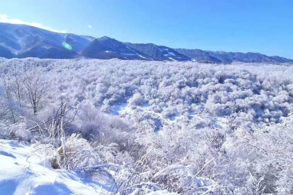 旅行|这才是陕西冬天最值得去的旅行地，美得如梦似幻，错过再等一年！