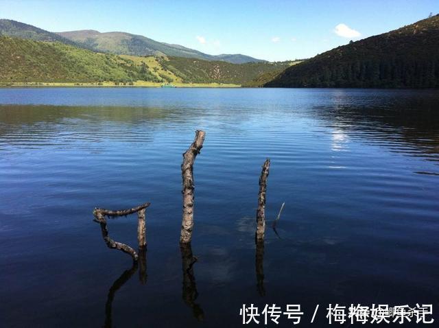 栖息|别再抢老钓位了，“秋老虎”鱼儿都藏在这，选这垂钓事半功倍