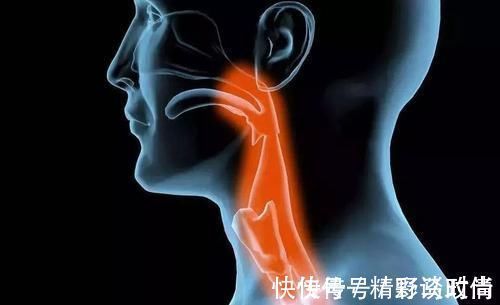 疗程|5大穴位扶阳正气,再顽固的鼻炎,这样简单调理也很快痊愈了!