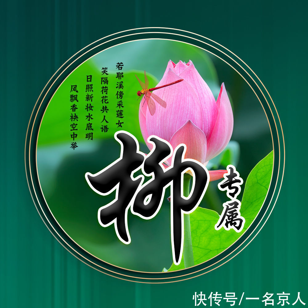 唯美|用你的姓氏当头像，20张唯美荷花大气图片，中国风华丽登场