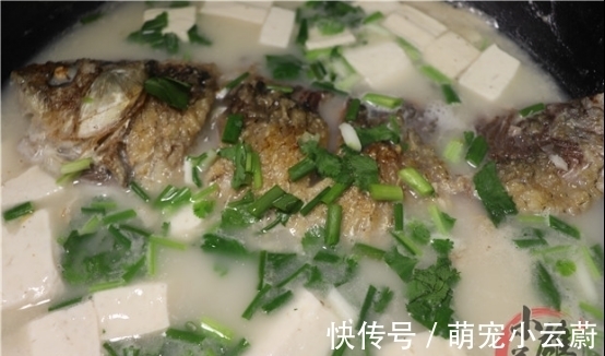 大姐将一大瓶雪碧倒进鱼桶中，不到1分钟，鲫鱼的反应真是绝了！