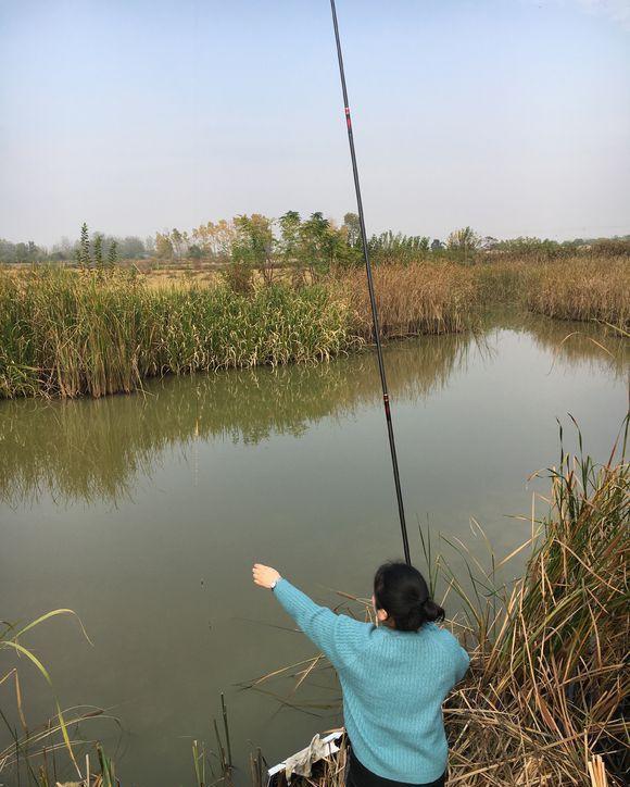 为何你的竿稍经常断?主因只有三个,稍微注意就不会