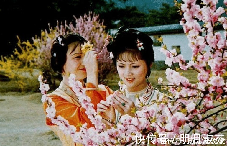 王熙凤@一见宝玉误终身，红楼梦里的这两姐妹，道尽丫鬟凄苦一生