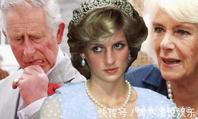礼服@戴安娜生前的经典项链,被卡米拉改成胸针,却戴一次被人骂一次