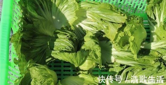 秘方|妈妈30年腌酸菜的秘方，5天就能吃，又香又脆口，放一年都不坏！