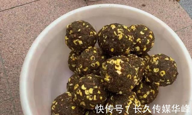 垂钓|气温高，草鱼就不好钓了？试过这几个钓法绝招的人，肯定是高手