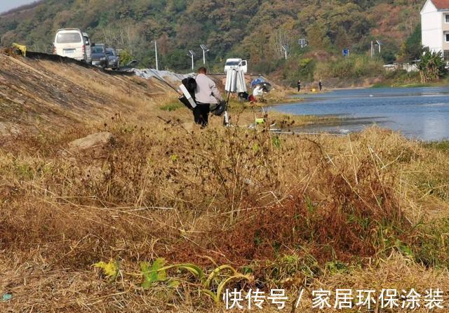 野生|鱼能听到人讲话吗？看完此文，可能你就不会困惑了