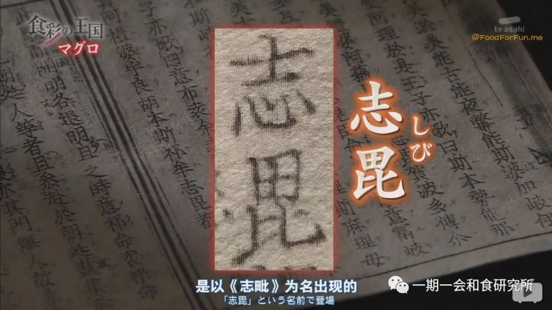 黄鳍金枪鱼和大目金枪鱼