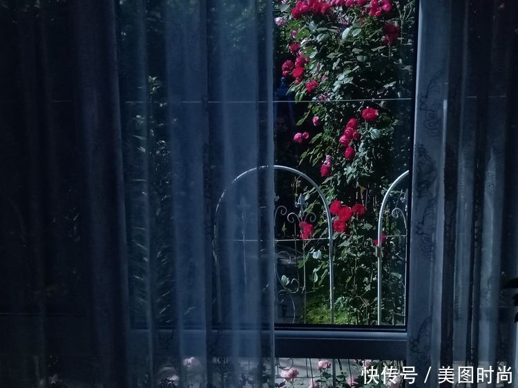 花园改造:3年前买了栋带170㎡花园的房子,过上种花草的乡村生活