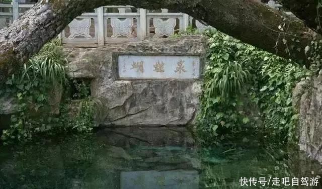 十大必去的云南旅游景点，你去过几个？