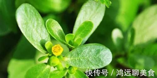 高血压|6种食物能帮助控制血压,高血压的人可常吃,稳定血压保健康