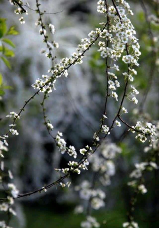 时光!二月,用心情映衬春景,用美好编织时光