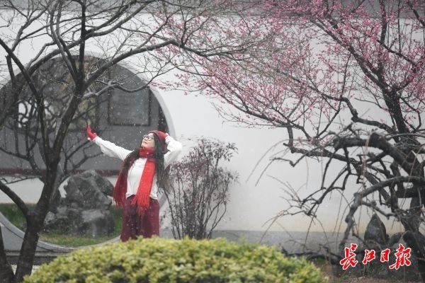 东湖梅园如画，游客争睹雪中寒梅风姿