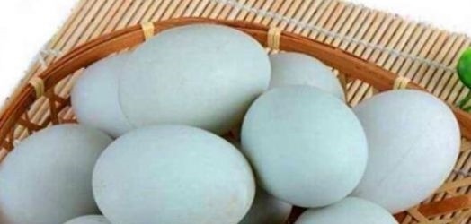 女人|女人想皮肤好,推荐吃几种食物,补肾养肝,滋阴补虚,美容肌肤