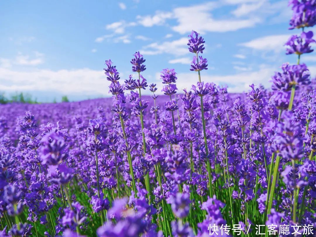 7个适合6月去的旅行地，过一个25℃的夏天！