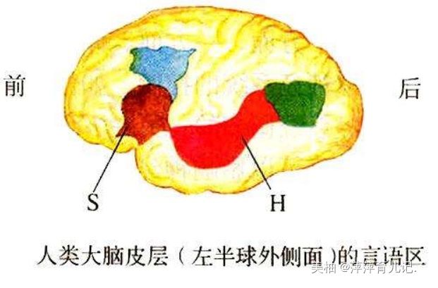 的确|美国心理学家发现：高智商儿童的确有共同之处，但并不是靠遗传