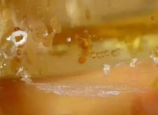 印尼柯巴脂|柯巴脂,和琥珀蜜蜡到底有多像?