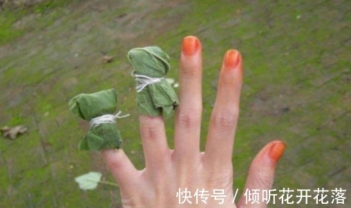 栽种|凤仙花:天然的染色剂,儿时用它染指甲,好看又防蛇,栽种要当心