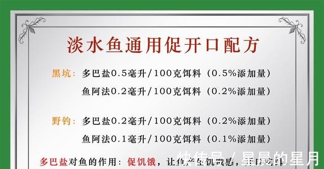 野钓鲫鱼和鲤鱼等淡水鱼如何用麦谷做窝料野钓窝料的制作要点！