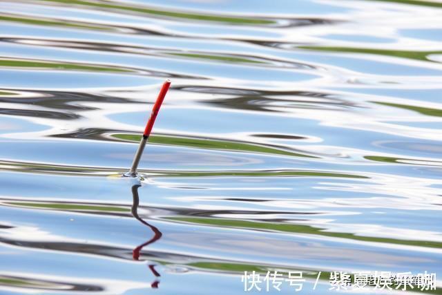 不想动别人的奶酪,钓鲢鳙真的太简单了,会钓鲢鳙不一定就是高手