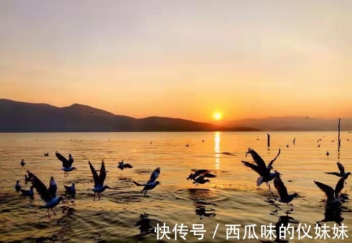 丁小槐#《沧浪之水》:一部经典官场小说,告诉我们职场生存的5个真理