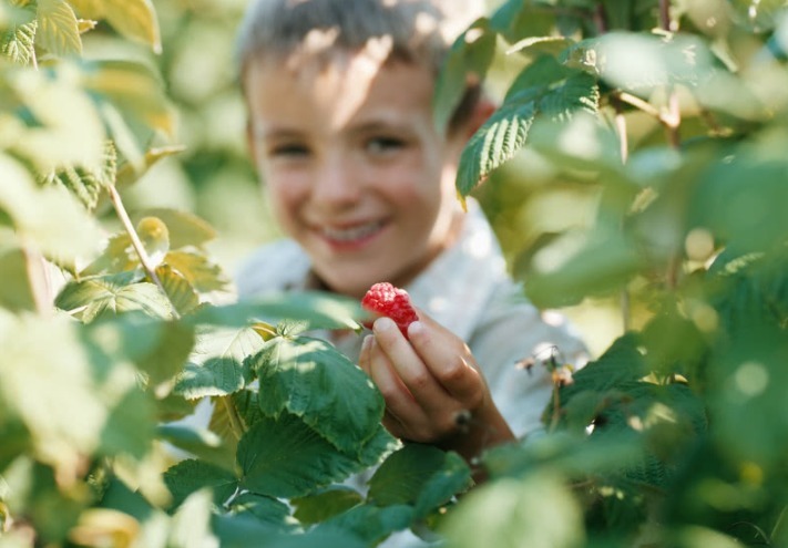 长高|早上不要这个时间段叫醒宝宝,孩子会“长不高”,妈妈可别坑了娃