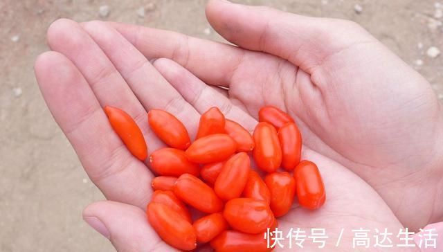 泡水|枸杞和它“天生一对”,泡水喝,给肝肾“冲个澡”,气色也变好了