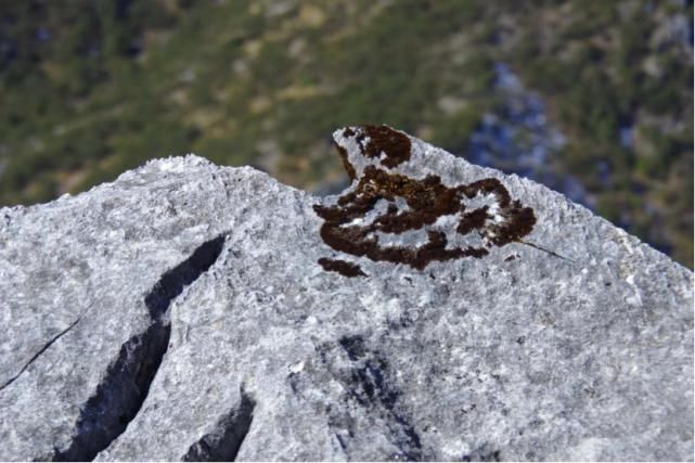 海量美图来袭！走进干河坝感受不一样的玉龙雪山