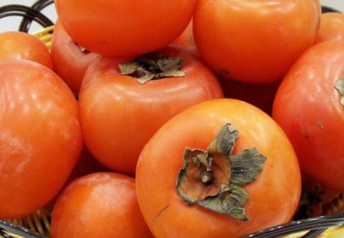 中年|柿子的功效是什么?吃柿子为什么千万别和这些食物同吃?