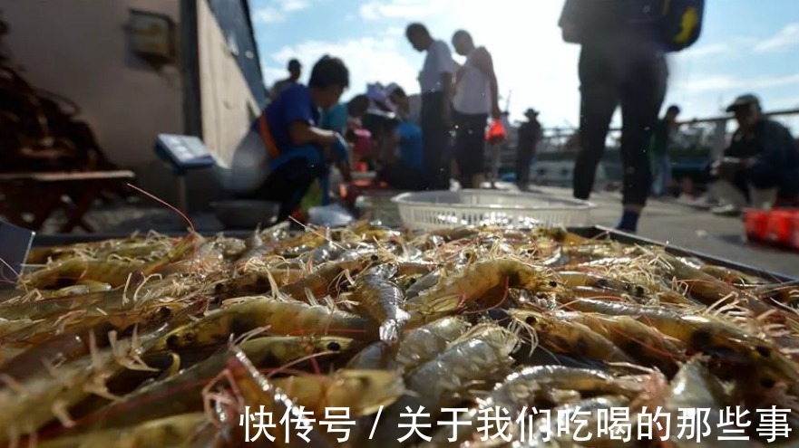 商贩|市场上的5种虾,被列为“问题虾”,很多人爱买,牢记3点避免被坑