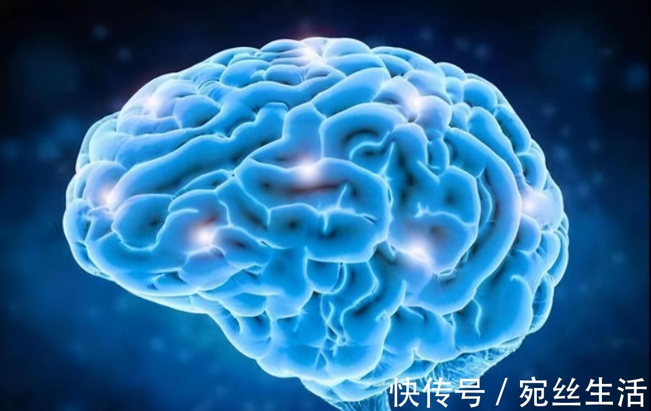 更上一层楼|想要宝宝智商高,一岁前做好这些动作,促进宝宝大脑发育