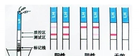 经周期|亲爱的,你连这都不懂,再备孕30年也不成!