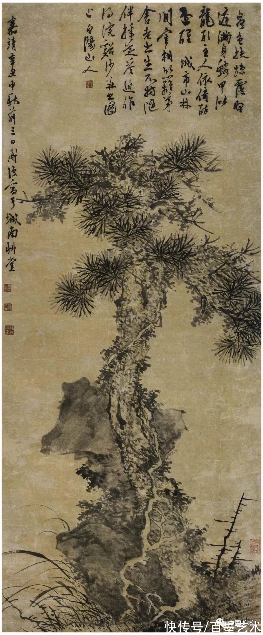 明朝@青藤白阳:明朝花鸟两大高峰