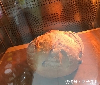 全麦葡萄干软欧包