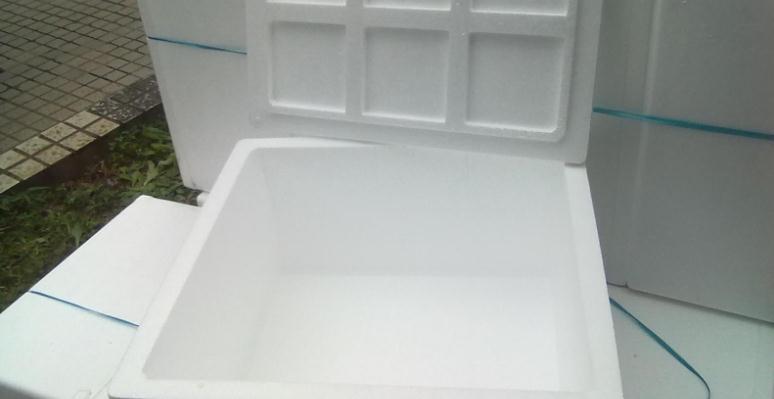 养多肉,用泡沫箱扦插育苗、做拼盘,该注意什么?